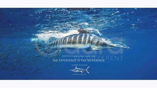 Sportfish International - Дизайн и печат на брошури